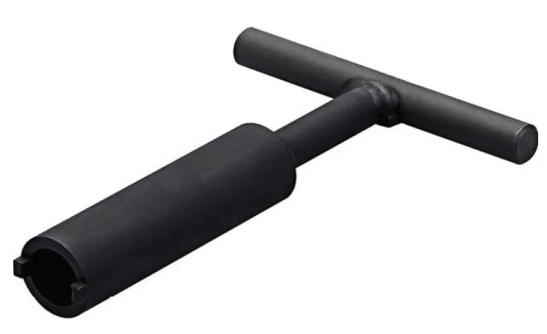 alicon1-2839688