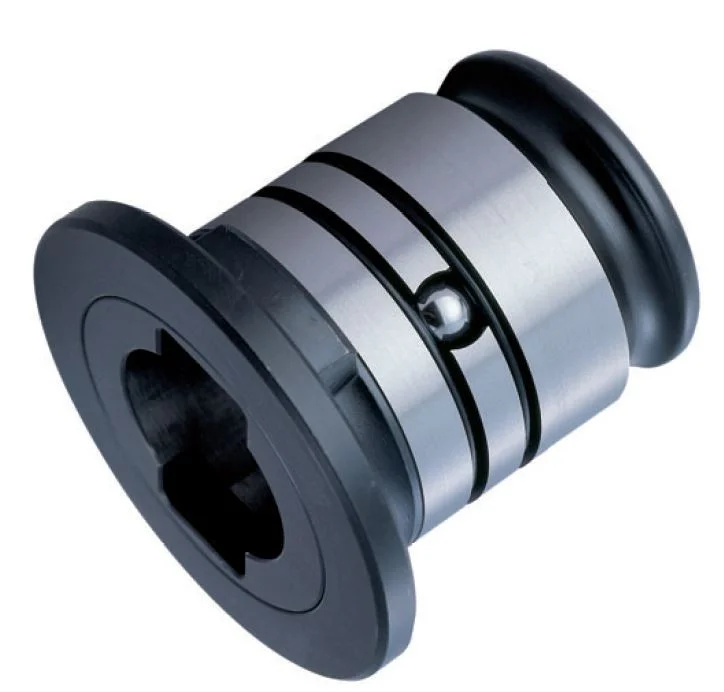 alicon1-2843724