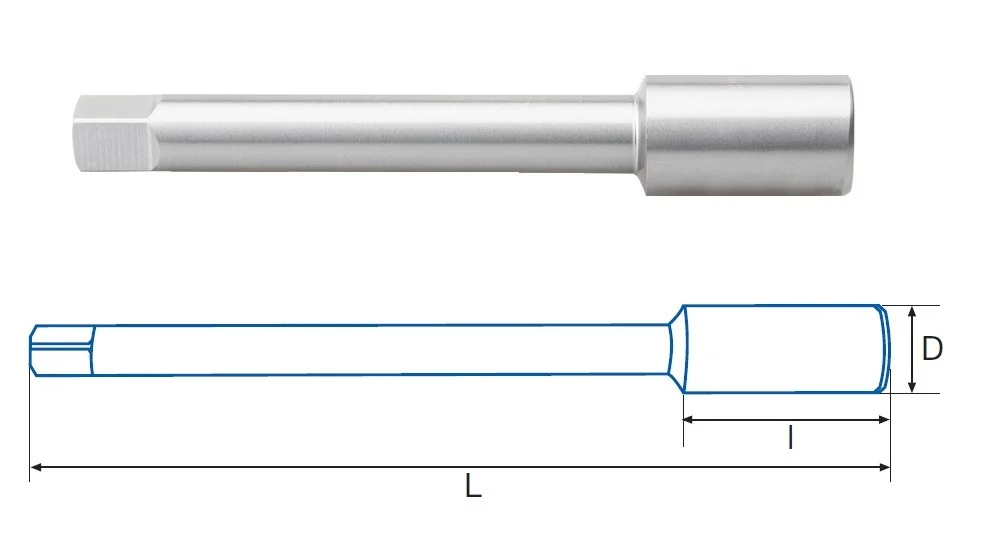alicon1-2925702