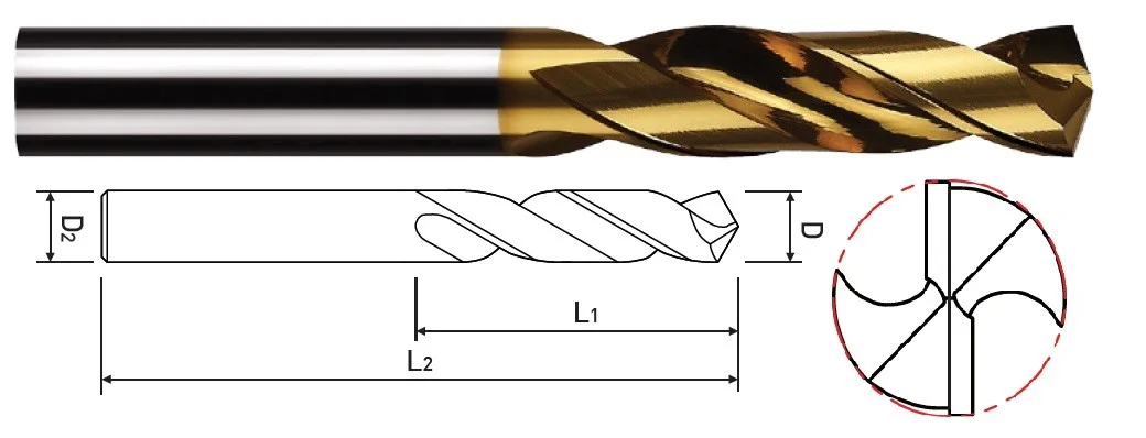 alicon1-3074378