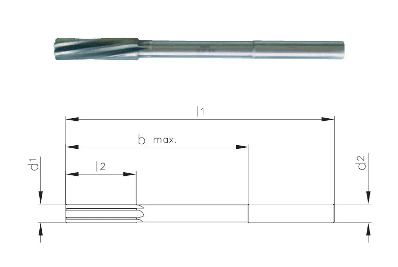 alicon1-3153666