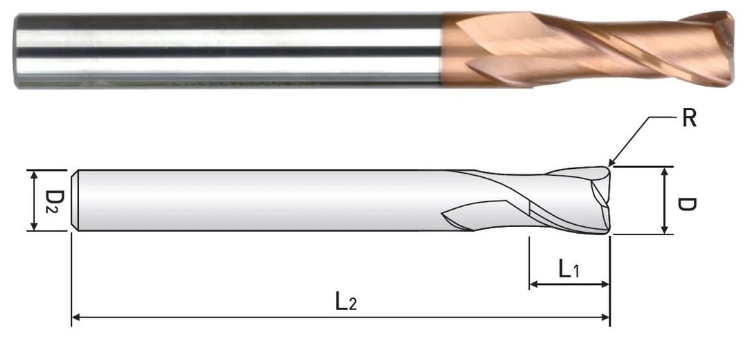 alicon1-3245558