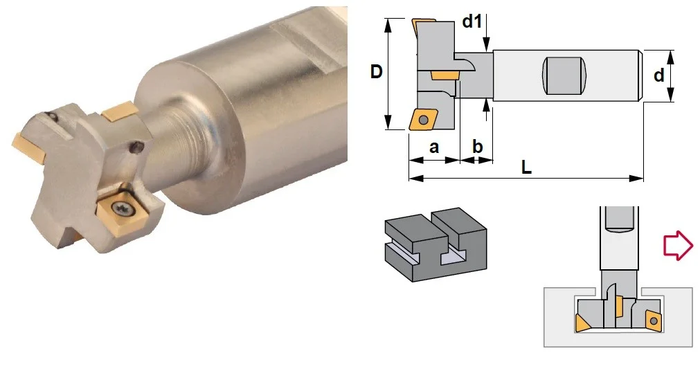 alicon2-2864546