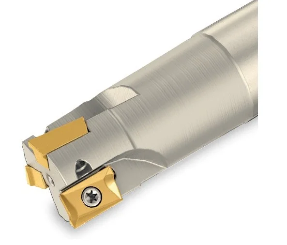 alicon2-2914123