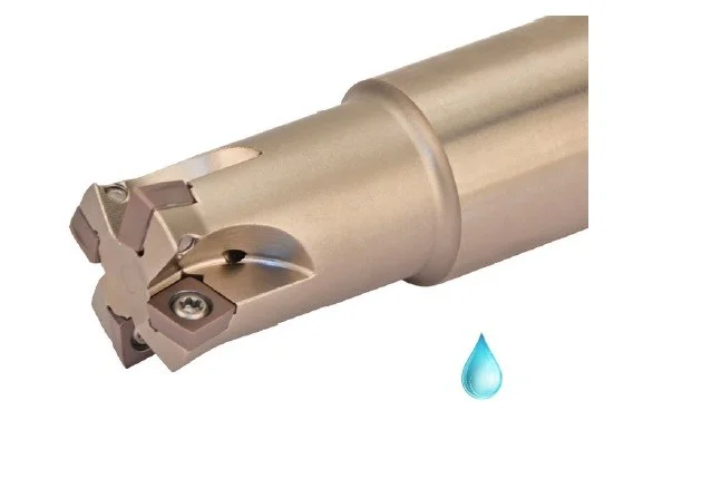 alicon2-2926798