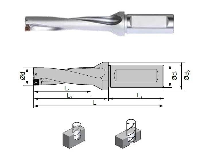 alicon2-3013253