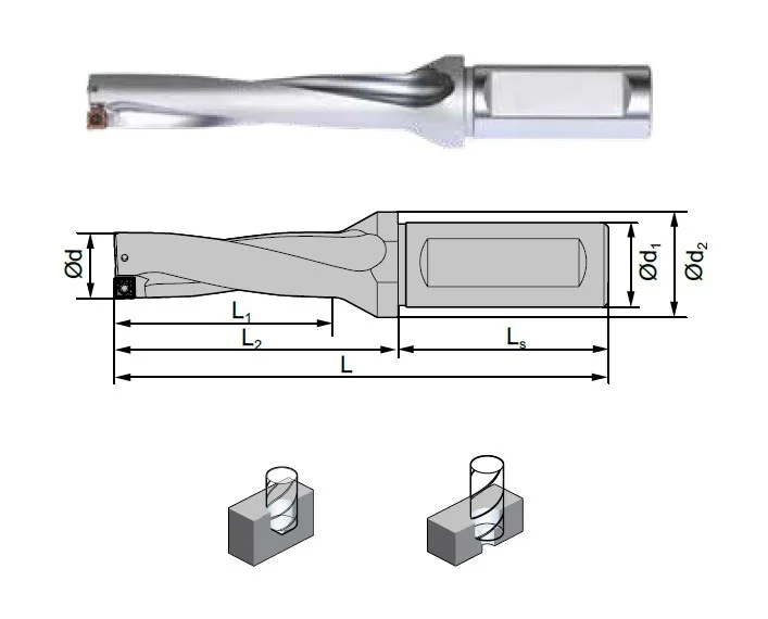alicon2-3016880