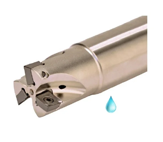 alicon4-3083962