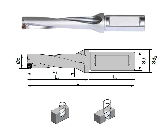 alicon4-3156548