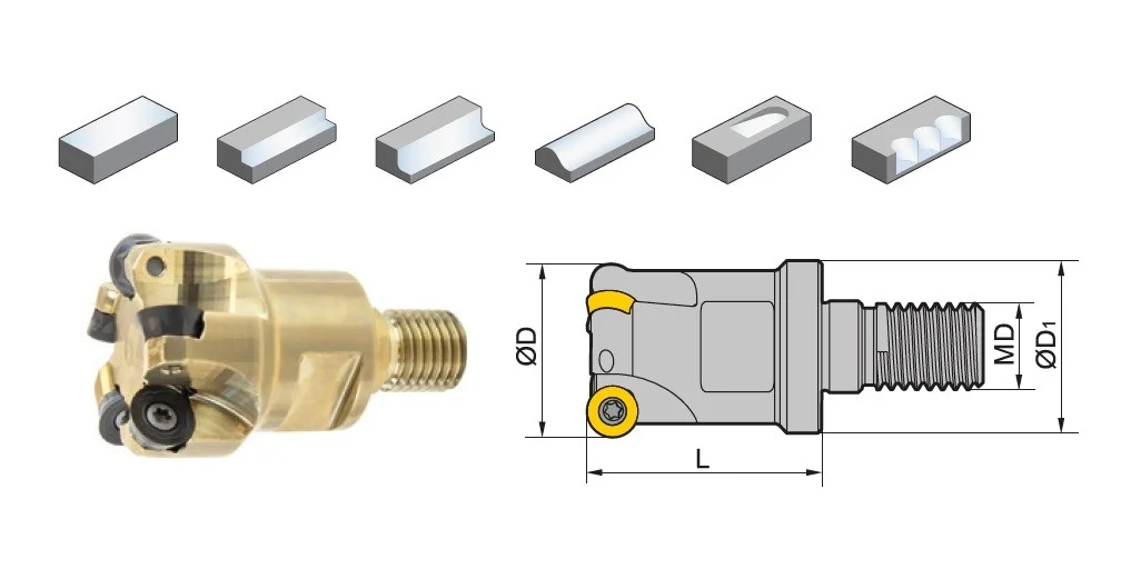 alicon5-2916865
