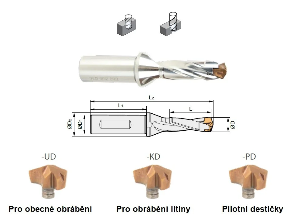 alicon5-3020455