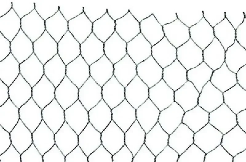 boukal1-3279741