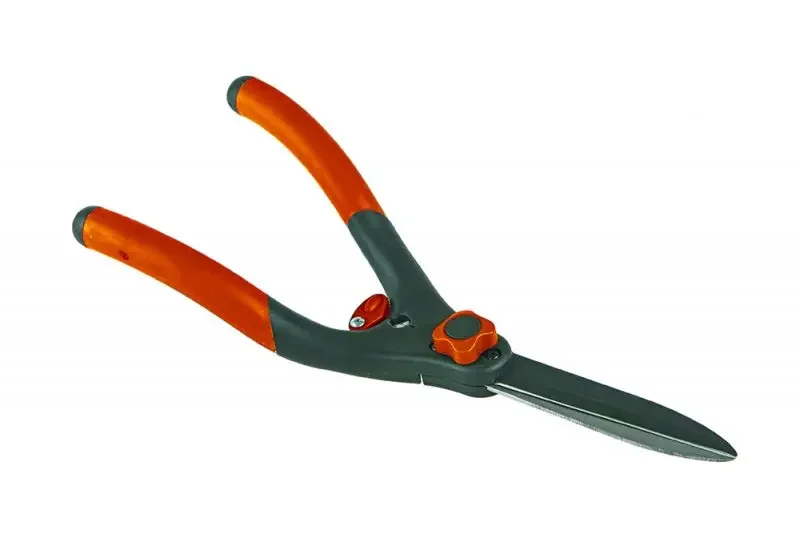 boukal1-3286376