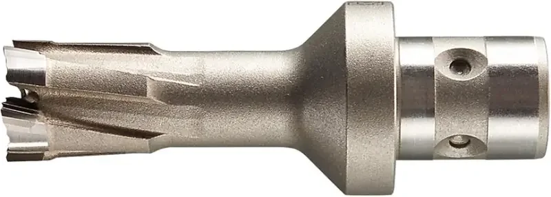 boukal1-3338973