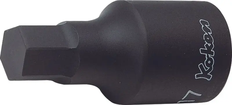 boukal2-3330774