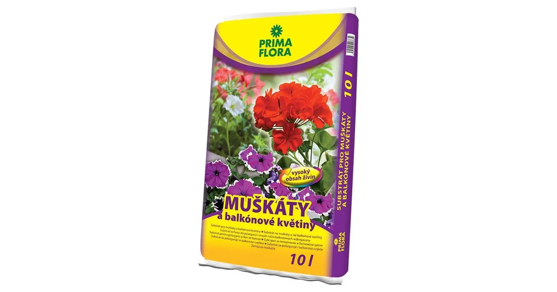 doktorkladivo-2985347