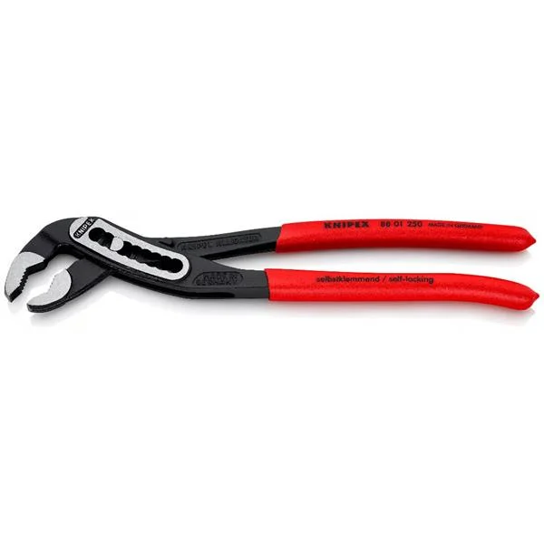 landsmann1-3074610