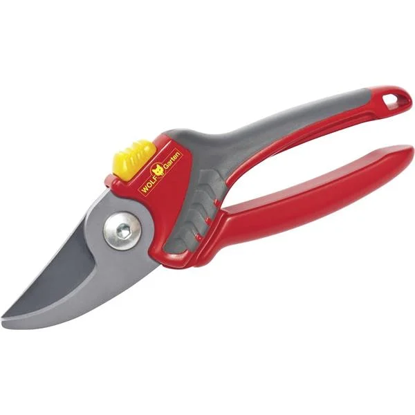 landsmann1-3324399