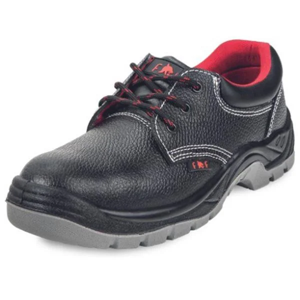 landsmann1-3336685