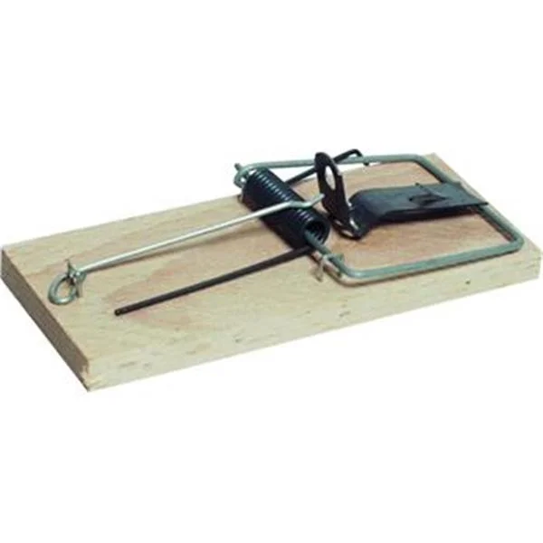 landsmann1-3338518