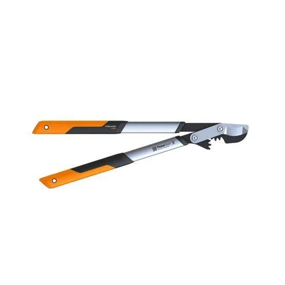 naradihornig-3060999