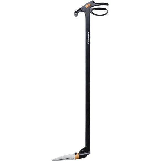 naradihornig-3088803