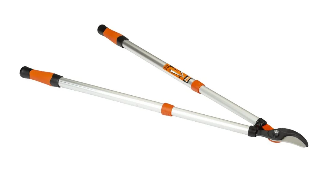 naradihornig-3127524