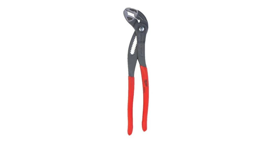 naradihornig-3130029