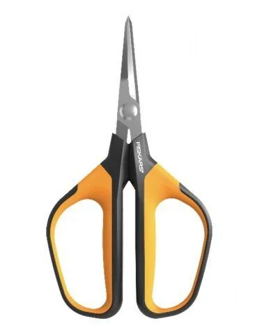 naradihornig-3164501