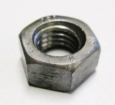 naradihornig-3200269