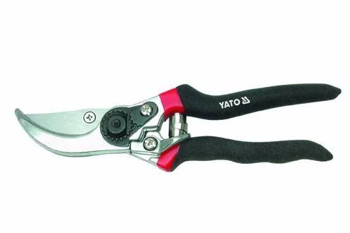 naradihornig-3203374