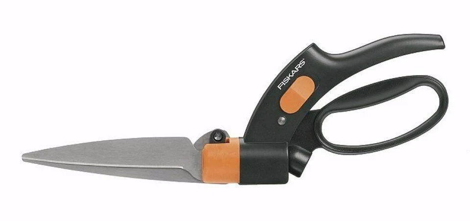 naradihornig-3208191