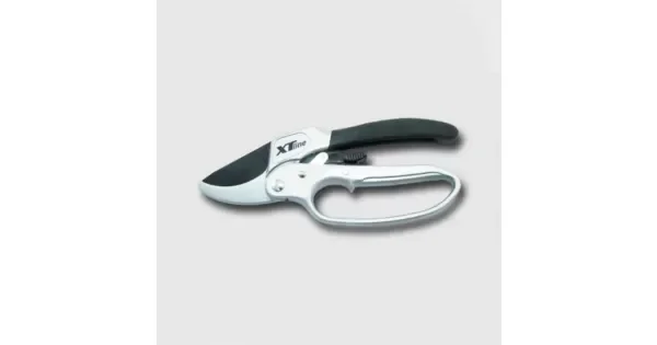 peddy-2916879