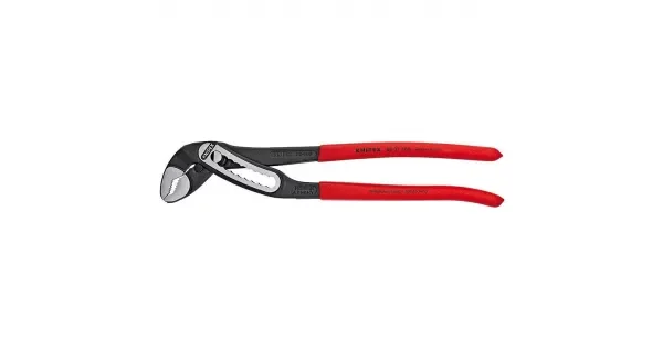 peddy-2952813