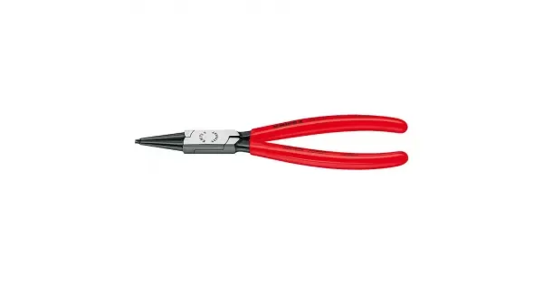 peddy-2992476