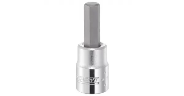 peddy-2992714