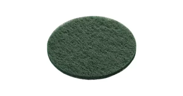 peddy-3003311
