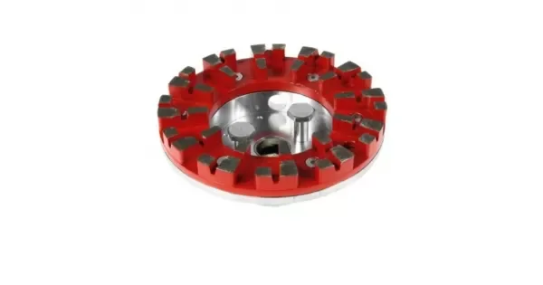 peddy-3012925