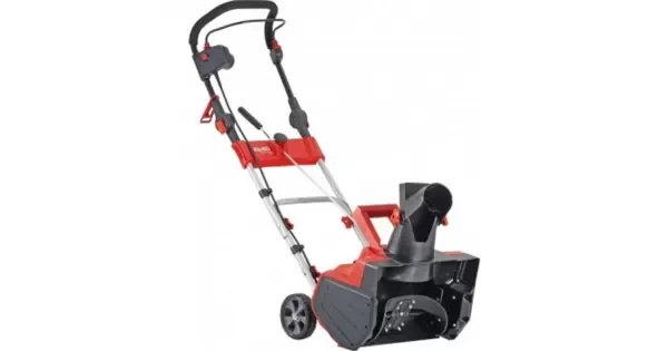 peddy-3050954