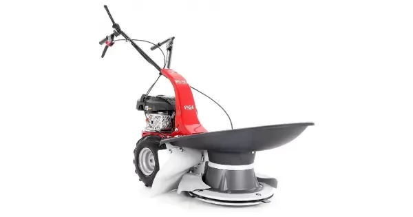 peddy-3054370
