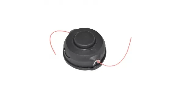 peddy-3054431