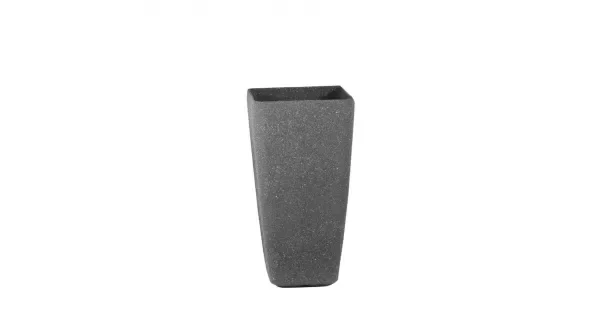 peddy-3055604
