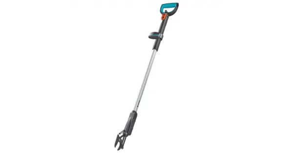 peddy-3075072