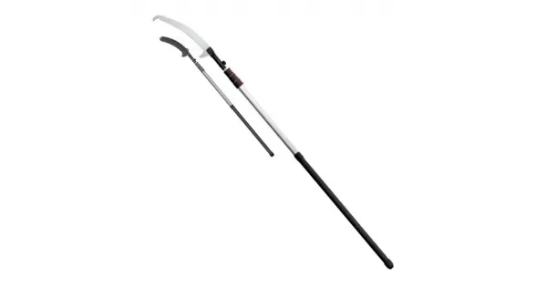 peddy-3078381
