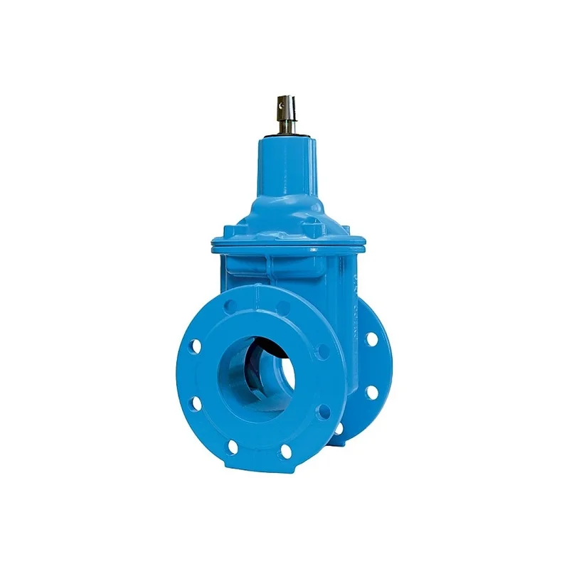 pkvplus-2829247
