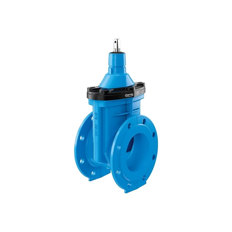 pkvplus-2829291