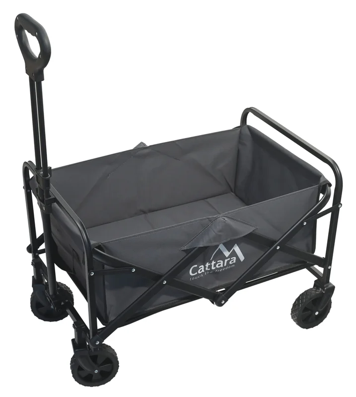 shop-naradi-3187344